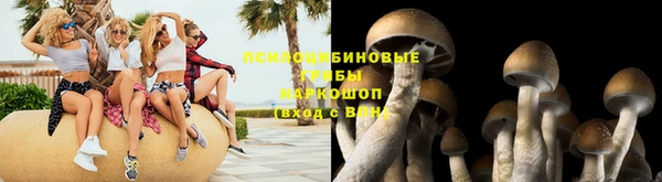 кокаин Белокуриха