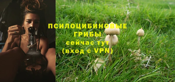 кокаин Белокуриха