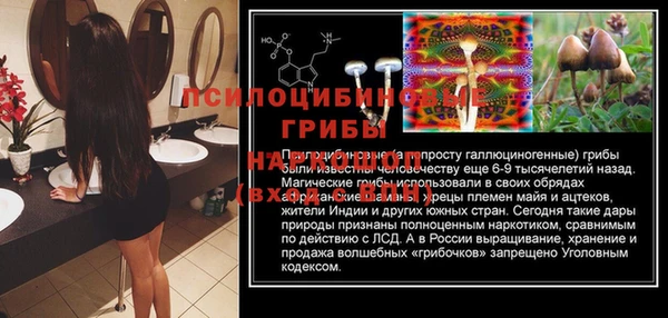 бошки Беломорск