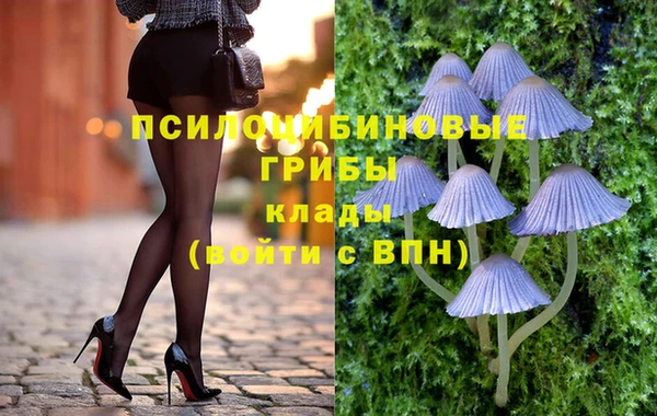 кокаин Белокуриха